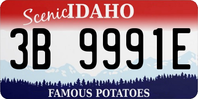 ID license plate 3B9991E