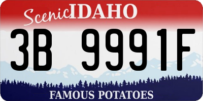 ID license plate 3B9991F
