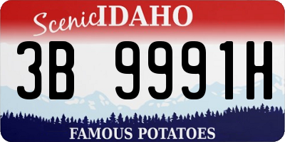 ID license plate 3B9991H