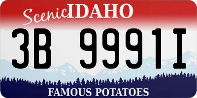 ID license plate 3B9991I