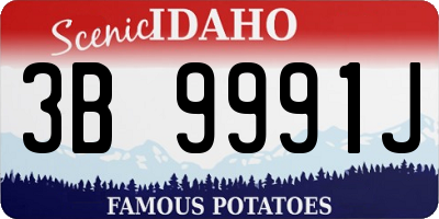 ID license plate 3B9991J