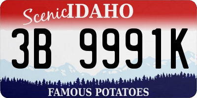 ID license plate 3B9991K
