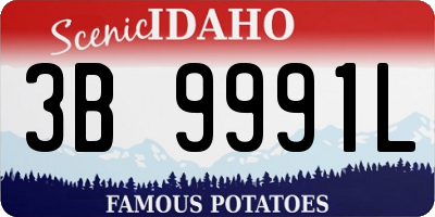 ID license plate 3B9991L