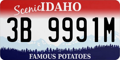 ID license plate 3B9991M
