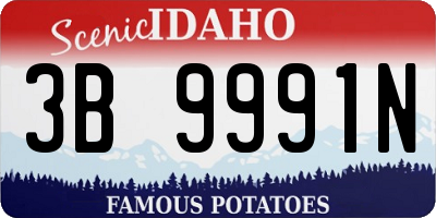 ID license plate 3B9991N