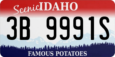 ID license plate 3B9991S