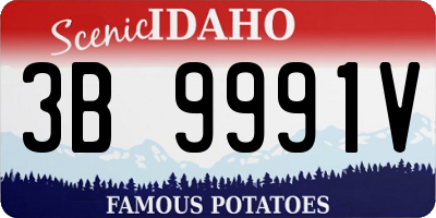 ID license plate 3B9991V