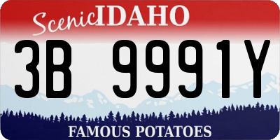 ID license plate 3B9991Y