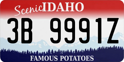 ID license plate 3B9991Z