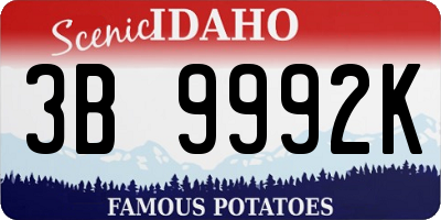 ID license plate 3B9992K