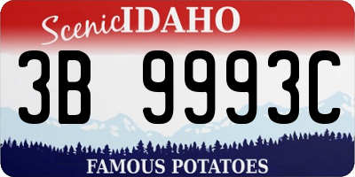 ID license plate 3B9993C