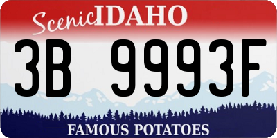 ID license plate 3B9993F