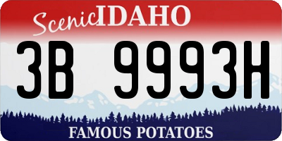 ID license plate 3B9993H