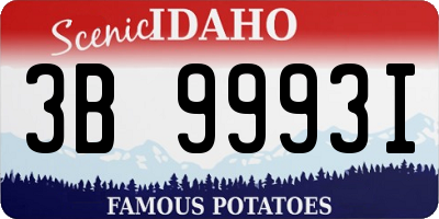 ID license plate 3B9993I