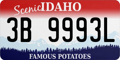 ID license plate 3B9993L