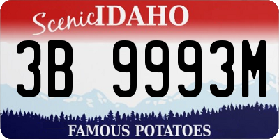 ID license plate 3B9993M