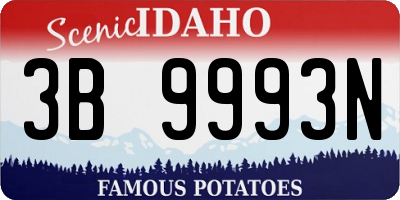 ID license plate 3B9993N