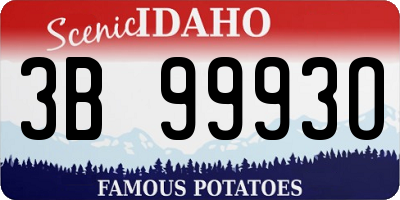 ID license plate 3B9993O