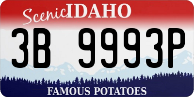ID license plate 3B9993P