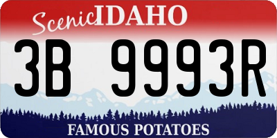 ID license plate 3B9993R