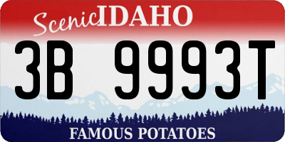 ID license plate 3B9993T