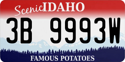 ID license plate 3B9993W