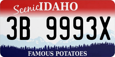 ID license plate 3B9993X
