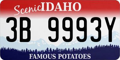 ID license plate 3B9993Y