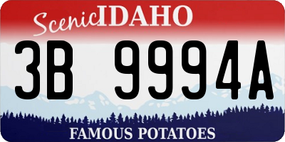 ID license plate 3B9994A