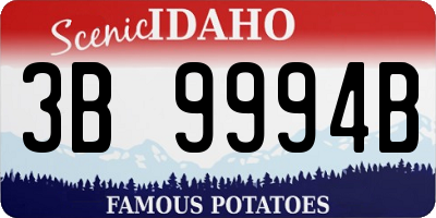ID license plate 3B9994B
