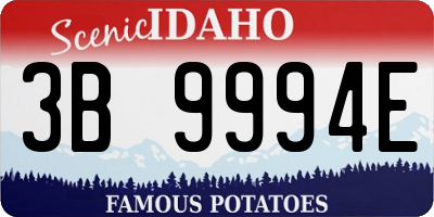 ID license plate 3B9994E