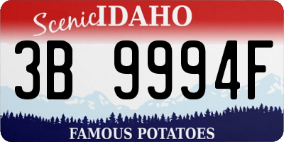 ID license plate 3B9994F