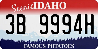 ID license plate 3B9994H