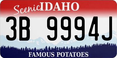 ID license plate 3B9994J