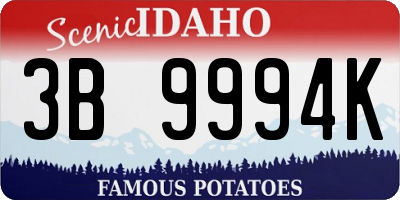 ID license plate 3B9994K