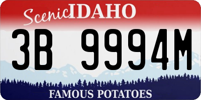 ID license plate 3B9994M