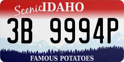 ID license plate 3B9994P