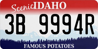 ID license plate 3B9994R