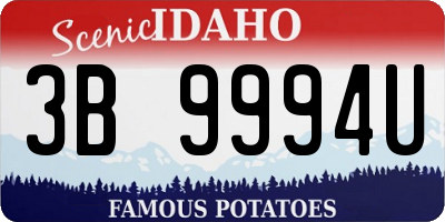ID license plate 3B9994U