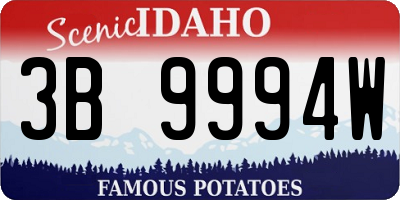 ID license plate 3B9994W