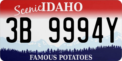 ID license plate 3B9994Y