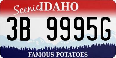ID license plate 3B9995G