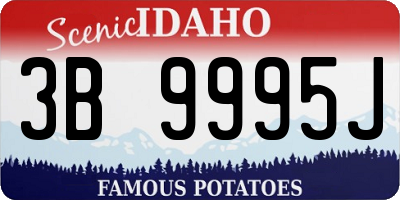 ID license plate 3B9995J