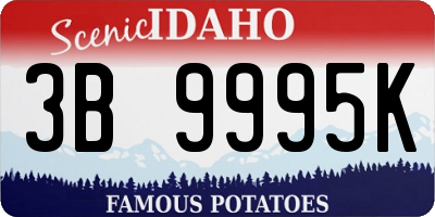 ID license plate 3B9995K