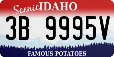 ID license plate 3B9995V