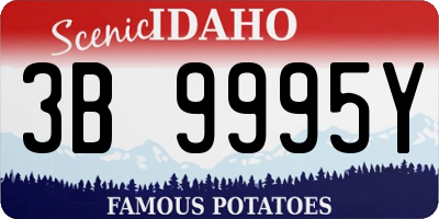 ID license plate 3B9995Y