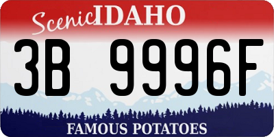 ID license plate 3B9996F