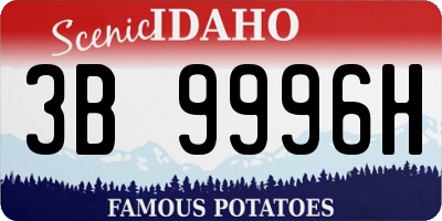 ID license plate 3B9996H