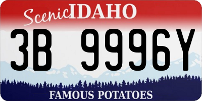 ID license plate 3B9996Y