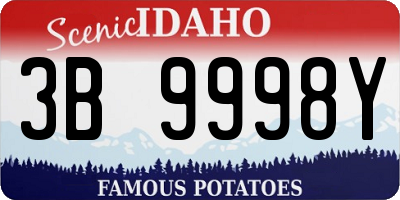 ID license plate 3B9998Y